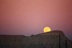 pinkmoonrise