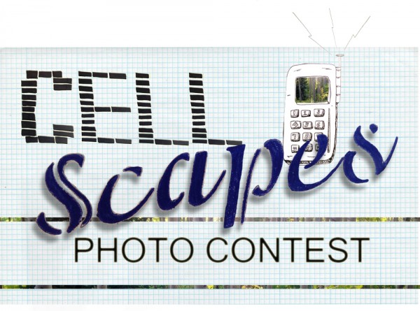 HeaderCellscapes
