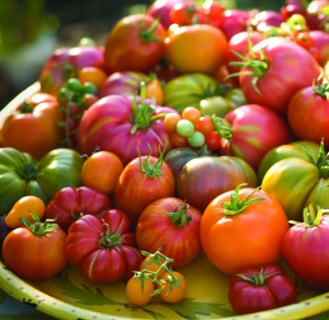 heirloom-tomatoes-istoc39e1