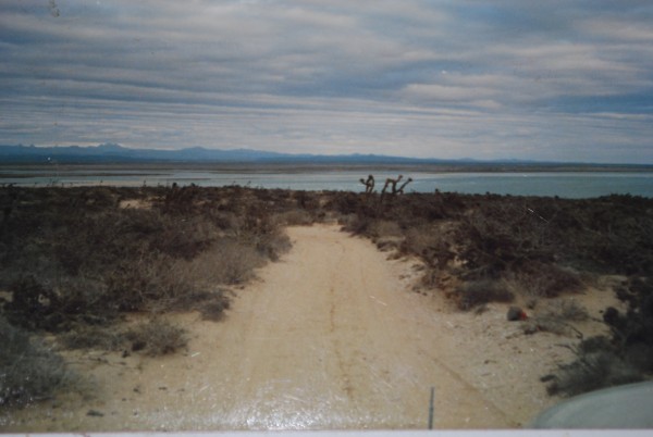 Image, courtesy, Lysiak