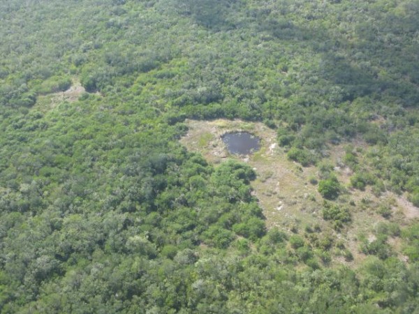 A cenote within El Zapotal. image Juan Carlos Faller-Menéndez/PPY/LightHawk A cenote within El Zapotal. image Juan Carlos Faller-Menéndez/PPY/LightHawk