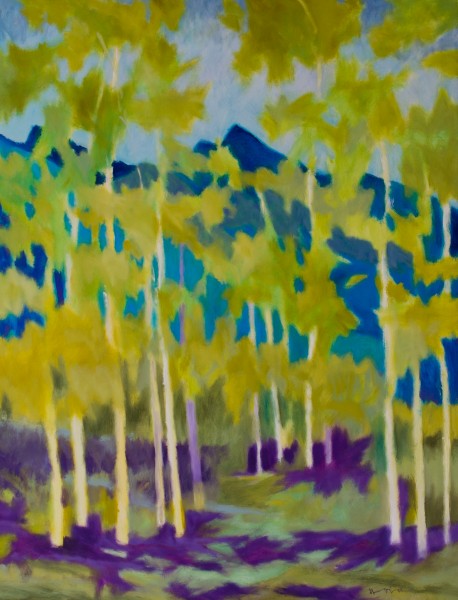 High Country Summer, Noice