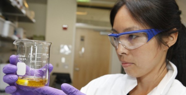 PastedGraphic-1 copy