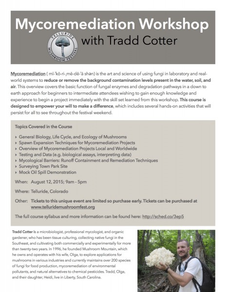 Flyer_Mycoremediation