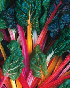 SwissChardBrightLights(1)