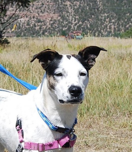 ????????????????????????????????????