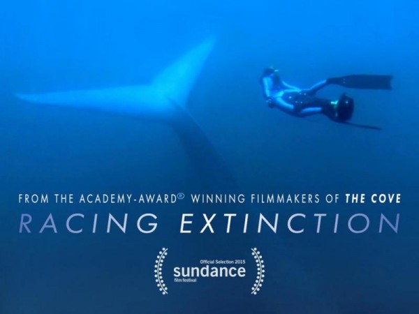 RacingExtinction