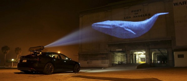 2015 Film Images, Racing Extinction