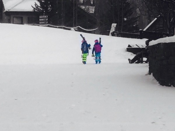 Color Splash Image (1)