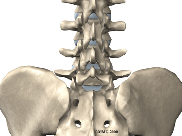 low_back_pain_anatomy04