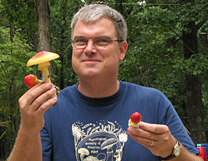 Publisher-with-Amanitas