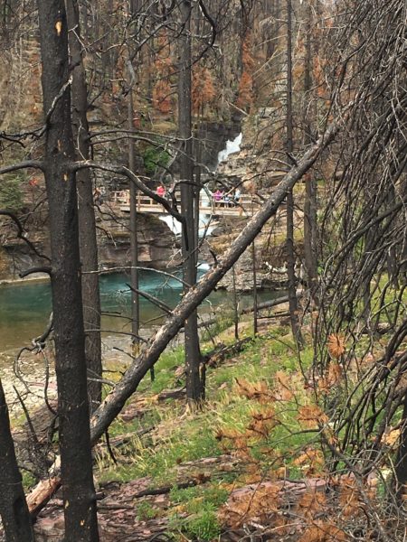 St. Mary Falls, Through the Burn