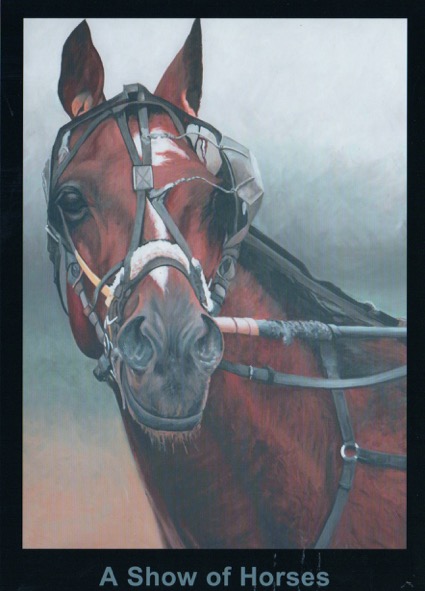 a-show-of-horses