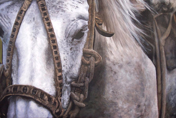 white-horse