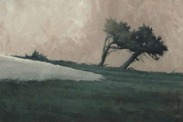 WindyRidgeSeries_Gardner