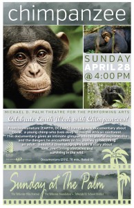 chimpanzee-poster jpeg
