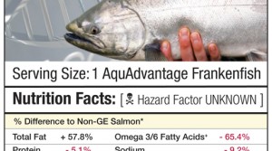 ge_salmon_nutriton_facts_thumbnail_00731