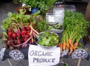 green-basics-organic-produce-stand