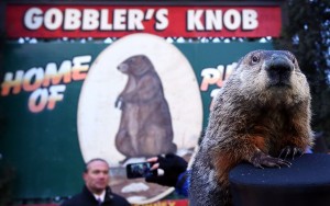 Annual Groundhog's Day Ritual Held In Punxsutawney, Pennsylvania