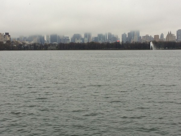 Cloudy Morning, Central Park