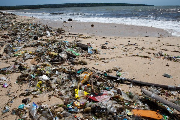 Plastic in the ocean absorbs other toxins, which the fish we eat ingest.