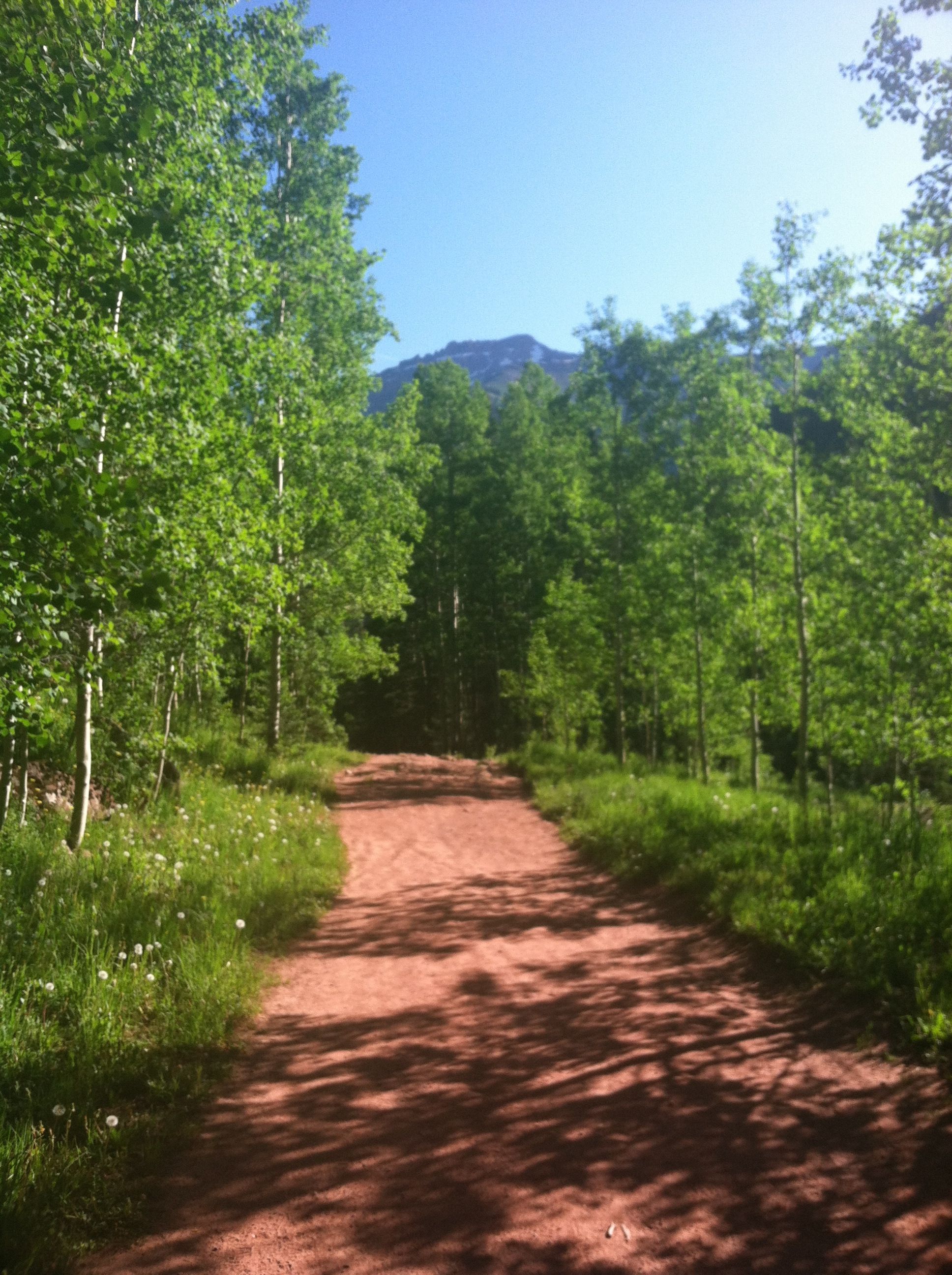 Bear Creek Trail Telluride Inside… and Out