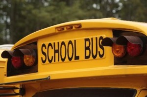 large_school bus