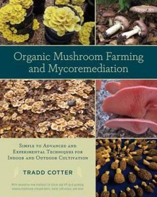 organic-mushroom-farming-and-mycoremediation