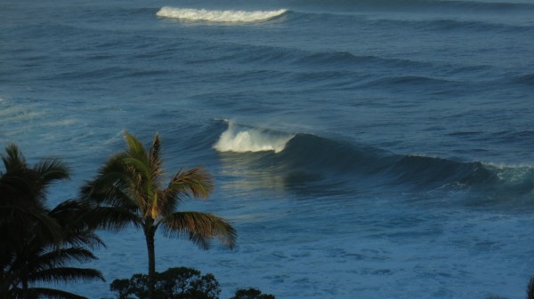 Surf, from Room 640