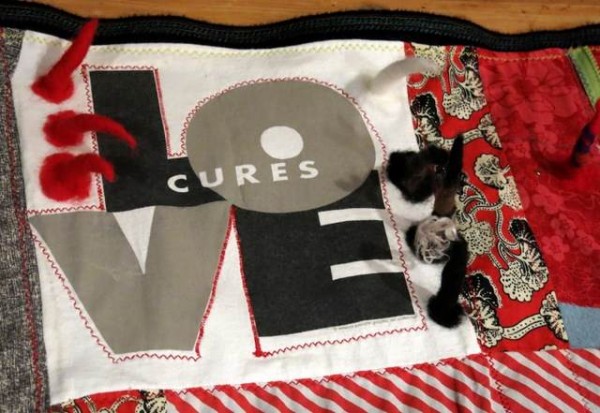 Love Cure