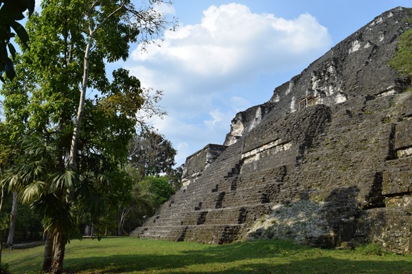 Mayan temple at Tikal. image: Armando Ubeda/LightHawk