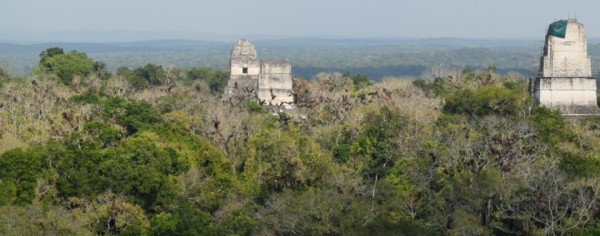 Mayan temples peek through the dense jungles at Tikal, Guatemala. image: Armando Ubeda/LightHawk Mayan temples peek through the dense jungles at Tikal, Guatemala. image: Armando Ubeda/LightHawk