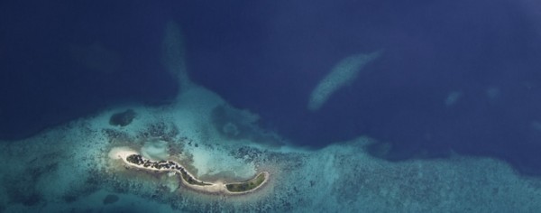 Bird's-eye view of Belize reef. image: Tony Rath Photography