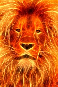 Fire+lion