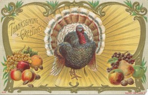 ThanksgivingNiceTurkey